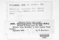 Titaeosporina tremulae image